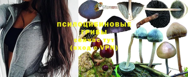 MDMA Болотное