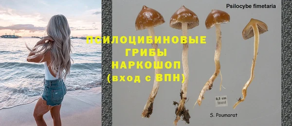 MDMA Болотное