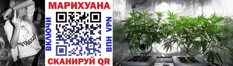 Каннабис ГИДРОПОН  дарнет шоп  Балей 